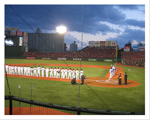 the Tohoku Rakuten Golden Eagles